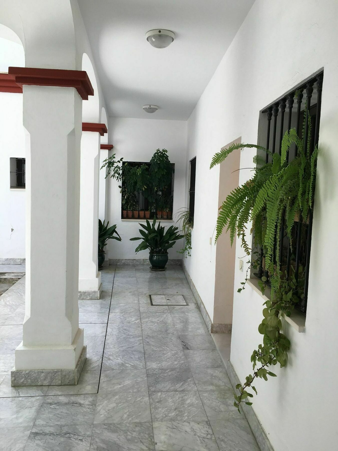 Teodosio Apartment Free Parking & Central Ac Севилья Экстерьер фото